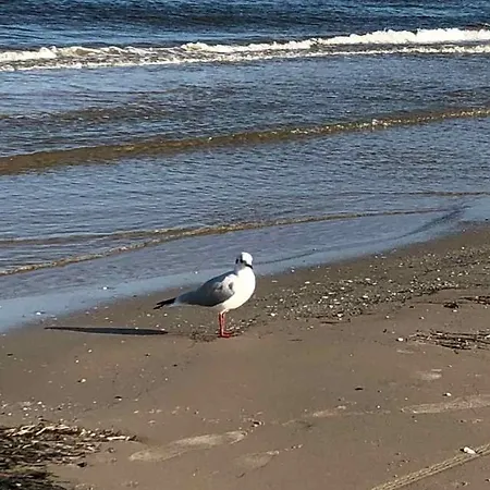 Am Strande